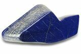 Polished Lapis Lazuli Section - Pakistan #277408-1